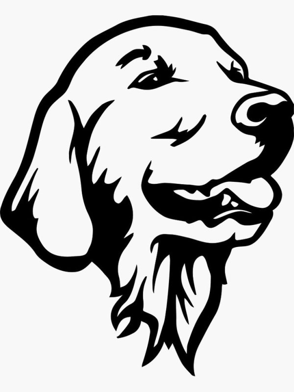 Золотистый ретривер вектор черно белый