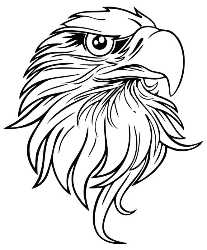 Орел рисунок