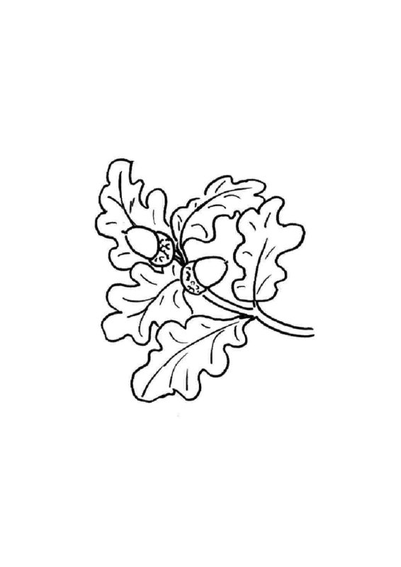 Дубовый лист трафарет