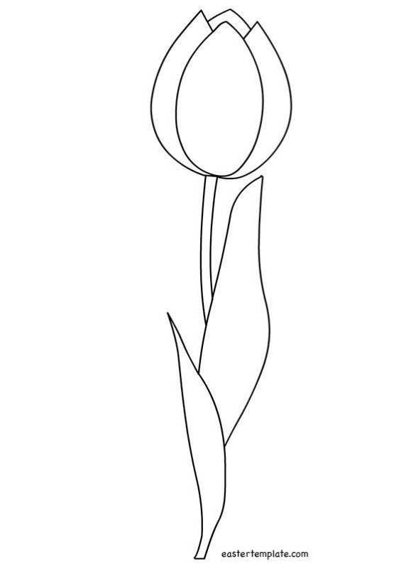 Тюльпан раскраска