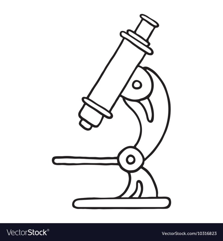 Зарисовать микроскоп