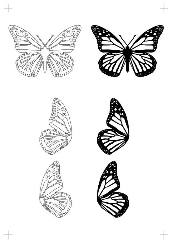 Трафареты бабочки