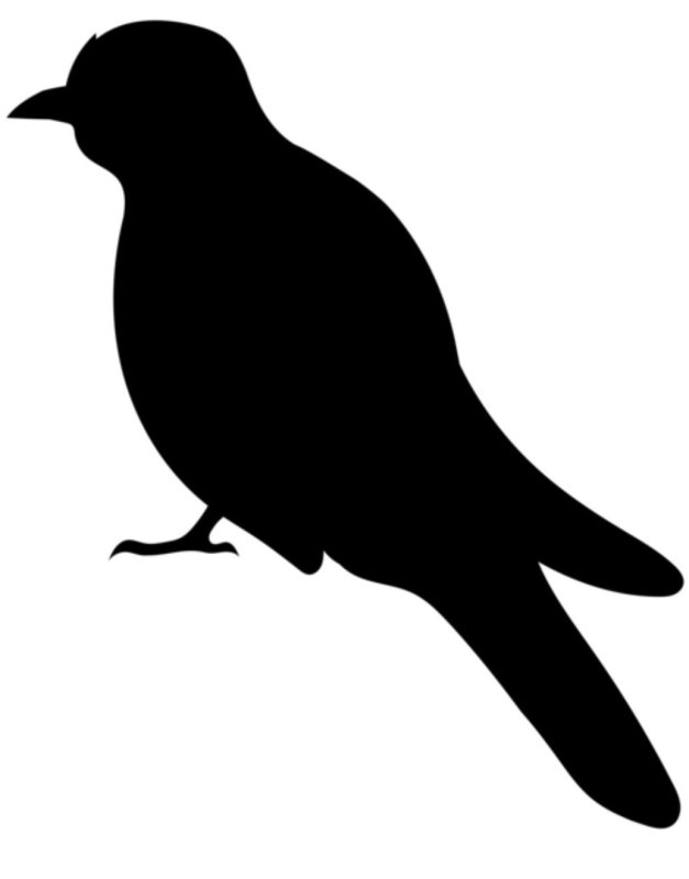 Силуэт птицы на прозрачном фоне