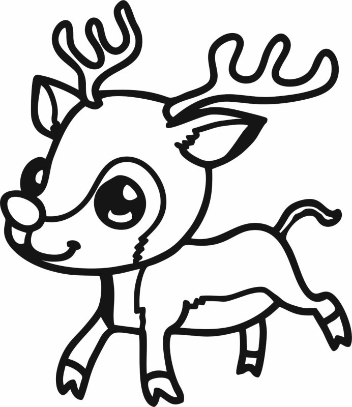 Раскраска Олененок