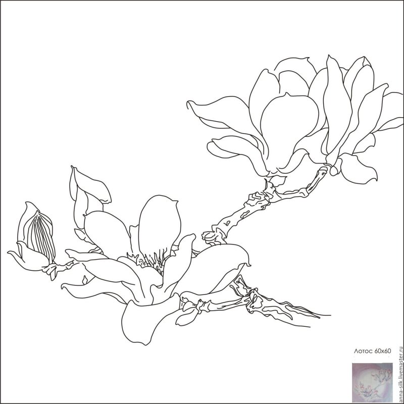 Магнолия трафарет
