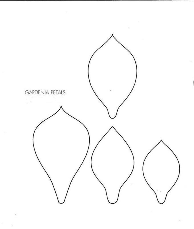 Лепестки магнолии трафарет