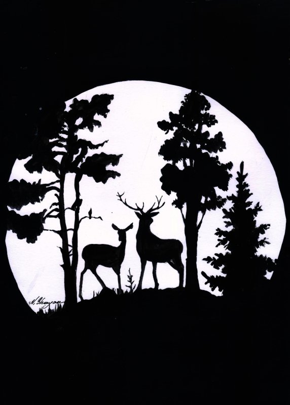 Силуэты природы и животных