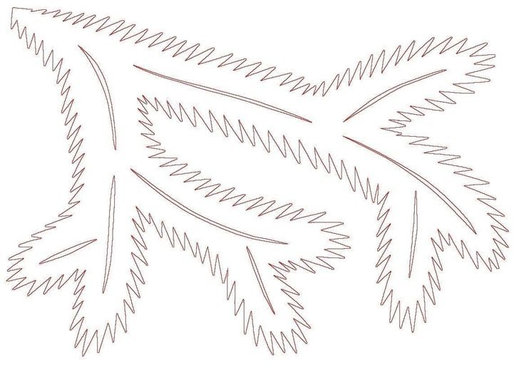 Ветки елки для вырезания на окно