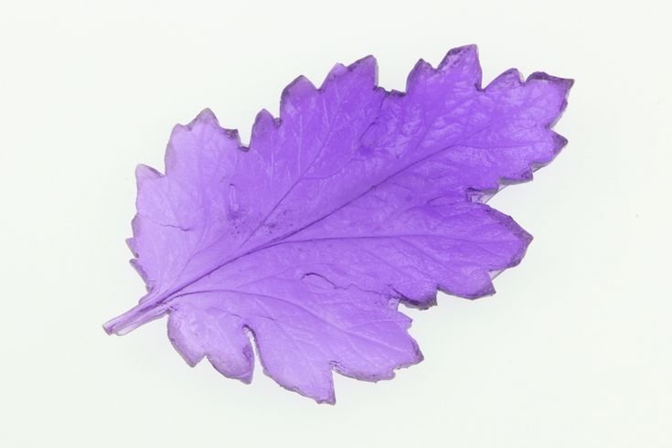 Трафарет листа хризантемы