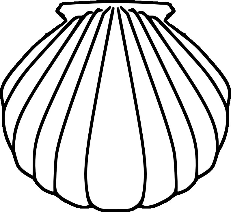 Ракушка раскраска