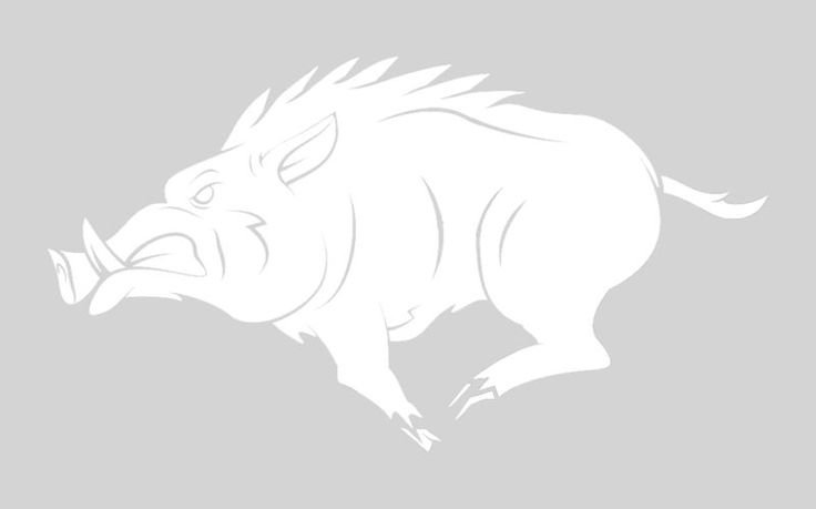 Силуэт кабана