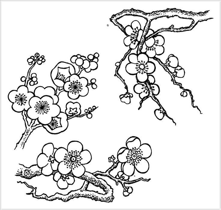 Цветочные мотивы