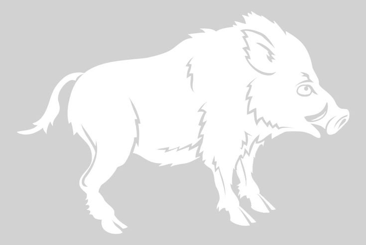 Трафарет кабана для вырезания