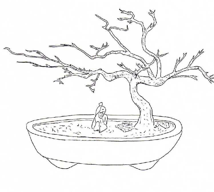 Бонсай рисунок