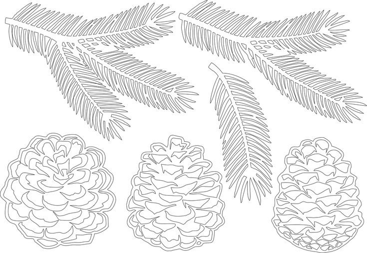 Еловые веточки вытынанки на окна