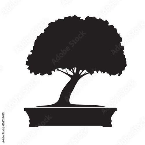 Бонсай вектор