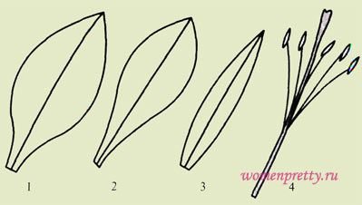 Лепесток лилии шаблон