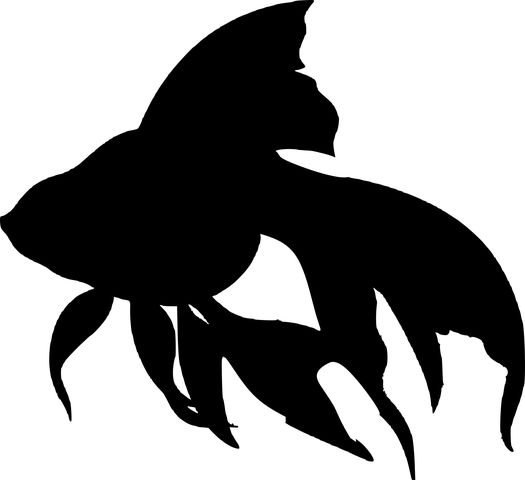 Силуэт рыбы