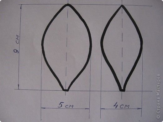 Трафареты лепестков цветов
