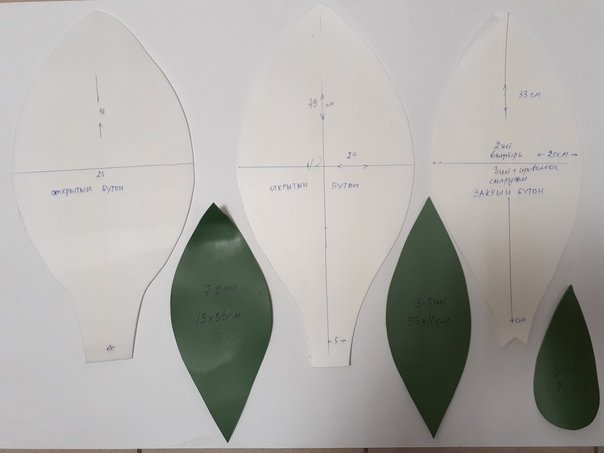 Трафарет лепестков для кувшинки