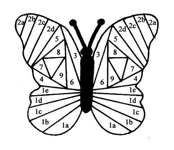 Айрис фолдинг бабочка