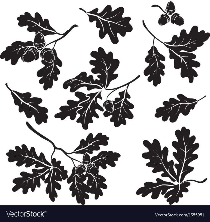 Узор листья