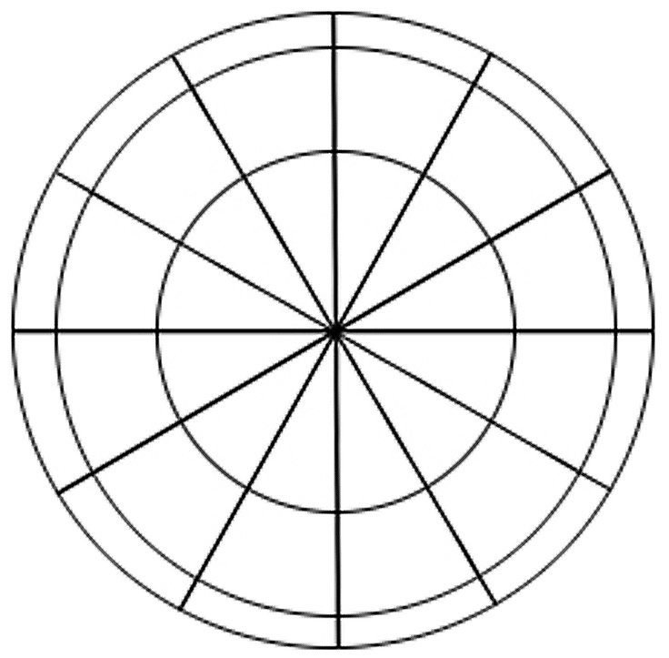 Круг поделенный на сектора