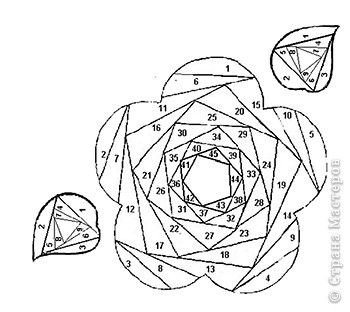 Айрис фолдинг цветы