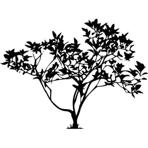 Куст силуэт