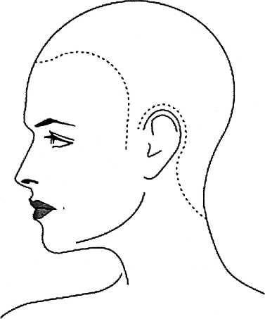 Макет головы для стрижки