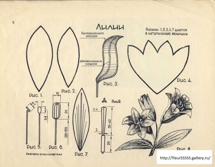 Лекала цветов из бумаги