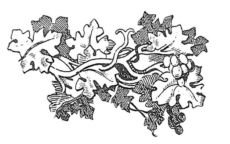 Дубовые листья орнамент