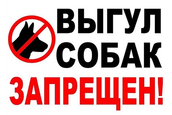Запрещено выгуливать собак