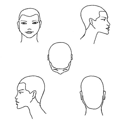Схема головы для парикмахеров