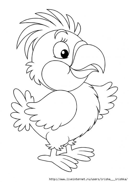 Попугай для раскрашивания детям