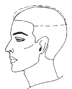 Схема головы для парикмахеров