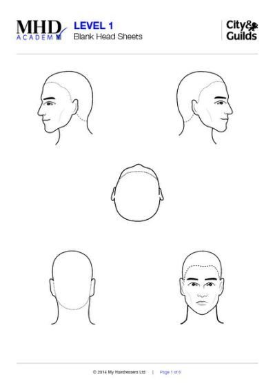 Схема головы для парикмахеров