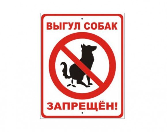 Табличка выгул собак