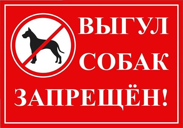 Запрещено выгуливать собак