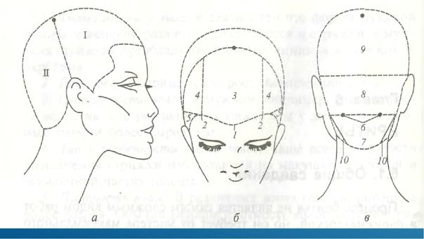 Деление на проборы головы для парикмахеров