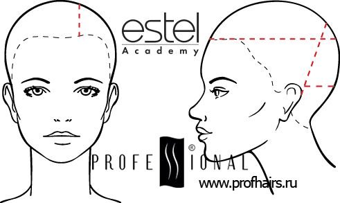 Шаблоны головы для парикмахеров