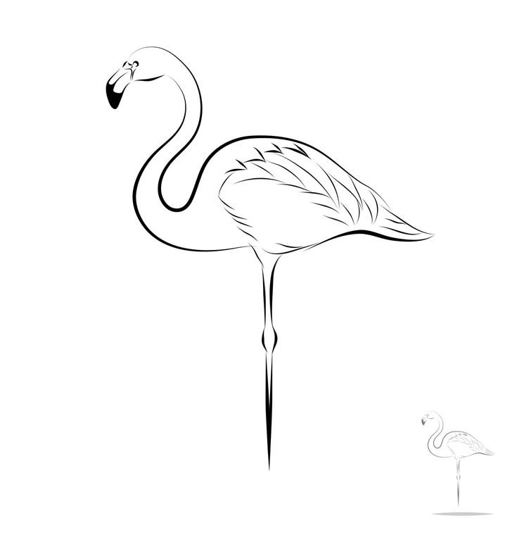 Фламинго рисунок контур