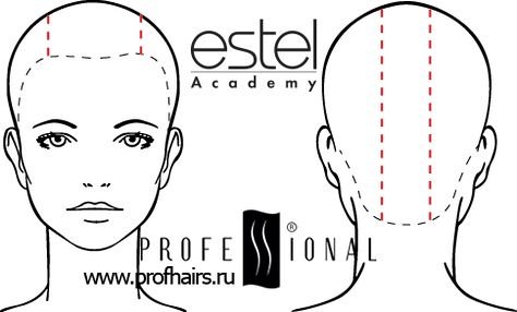 Схема головы для стрижки