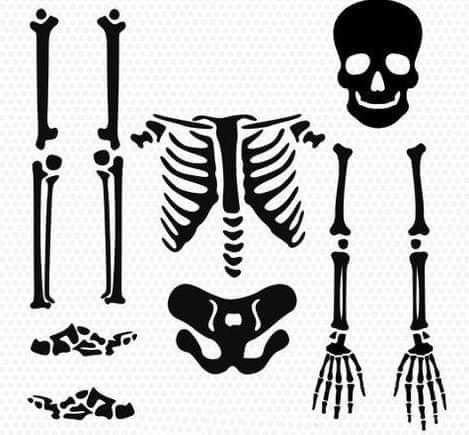 Кости Кощея Бессмертного