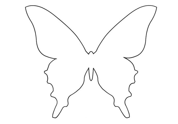 Трафарет бабочки на стену
