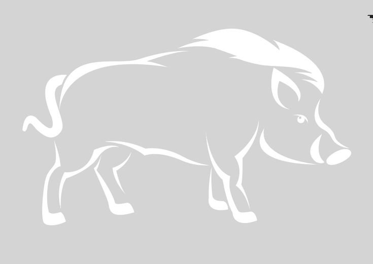 Трафарет кабана для вырезания
