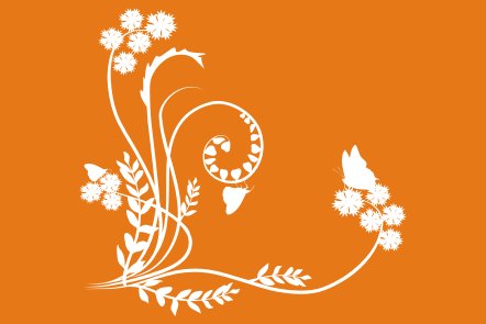 Одноразовые трафареты на самоклеющейся пленке