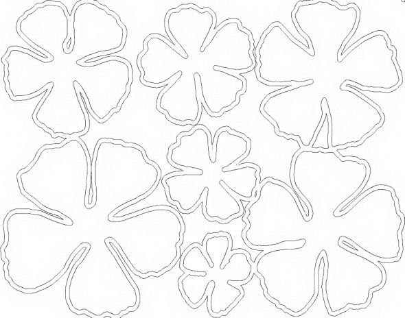 Цветы шаблоны для вырезания