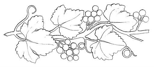 Виноград орнамент