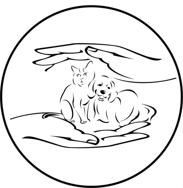 День защиты животных раскраска